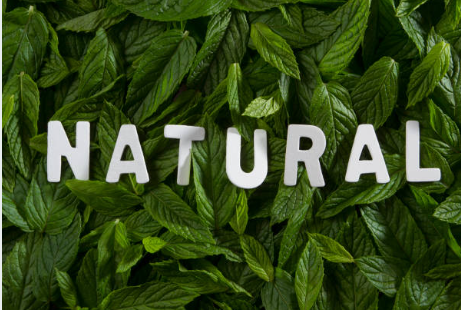 Natural Dewormers for Chickens: Common Myths Debunked | Natural Graze USA