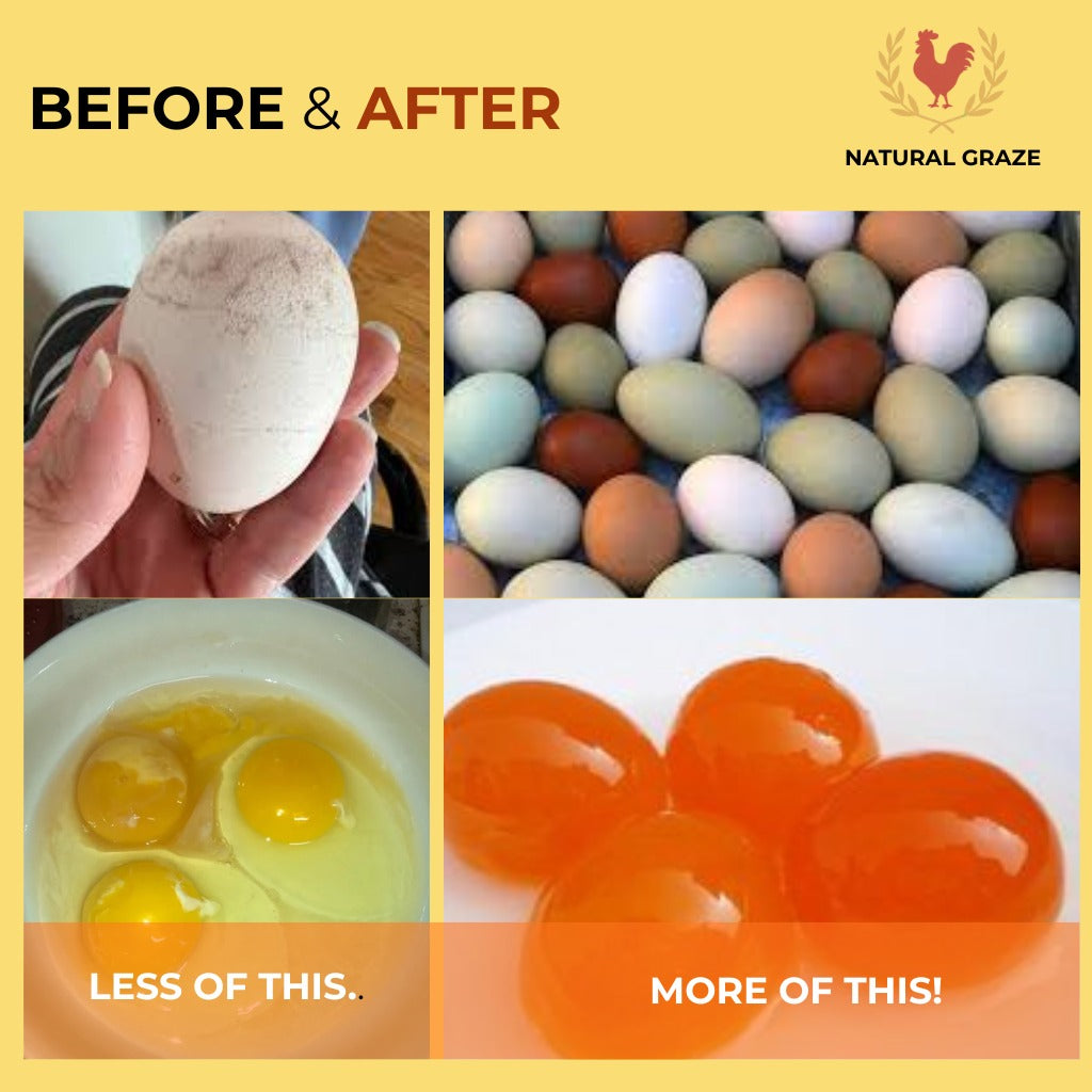 Egg Production Booster